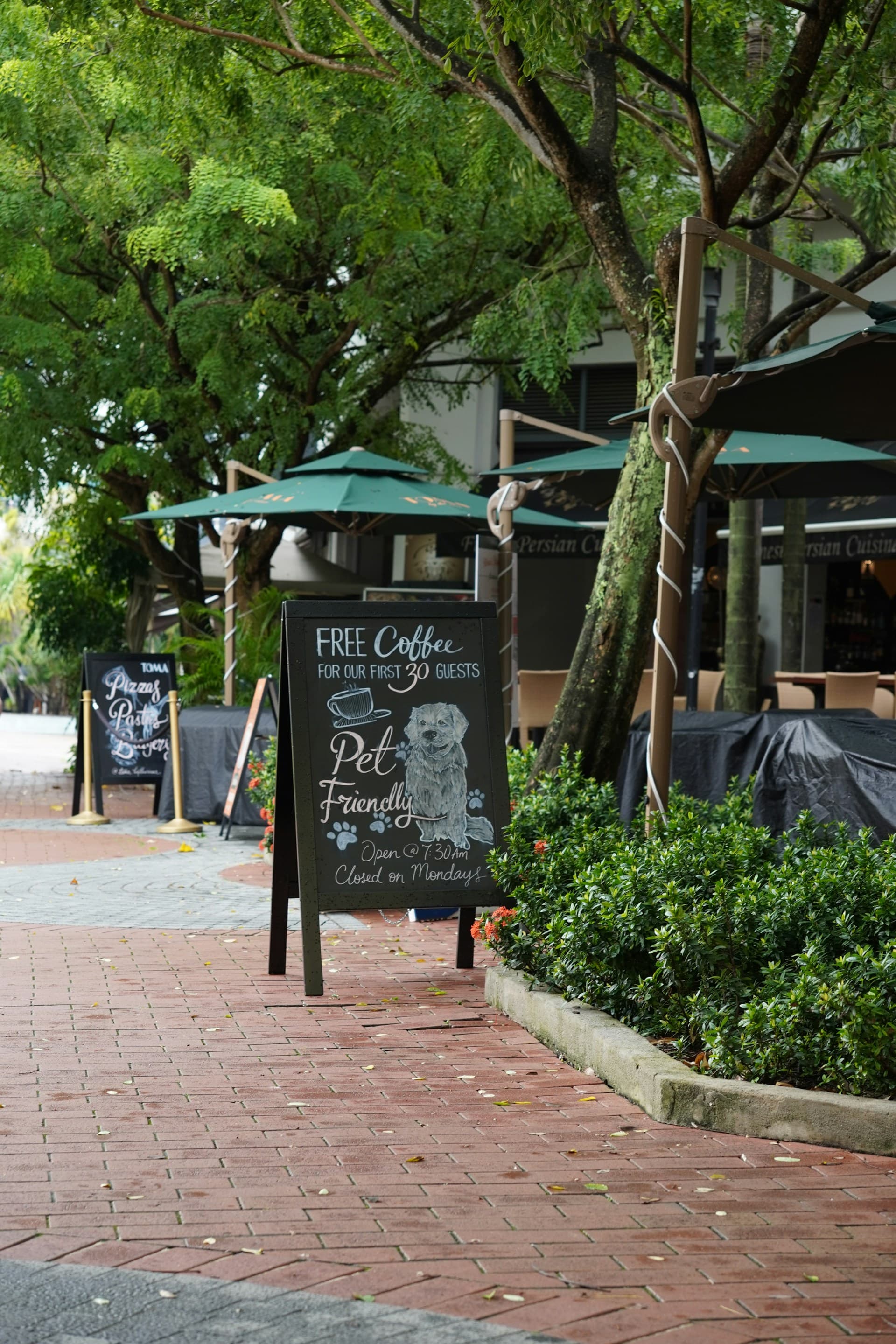 Hand-lettered chalk A-frame sign on a brick walkway, reading: 'Free coffee for our first 30 guests — pet friendly.'